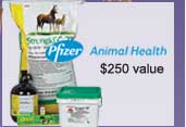Pfizer