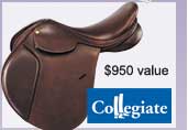 Collegiate