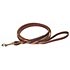 Dog Leash