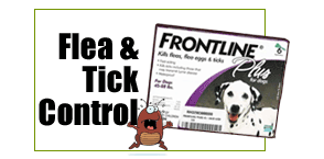 Flea & Tick Control