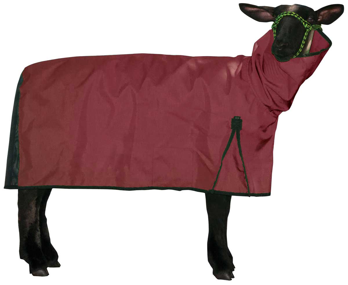 Cordura Mesh Butt Sheep Blanket Weaver Leather ( Showing Grooming