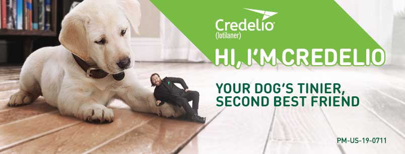 Credelio Chewable Tablets For Dogs
