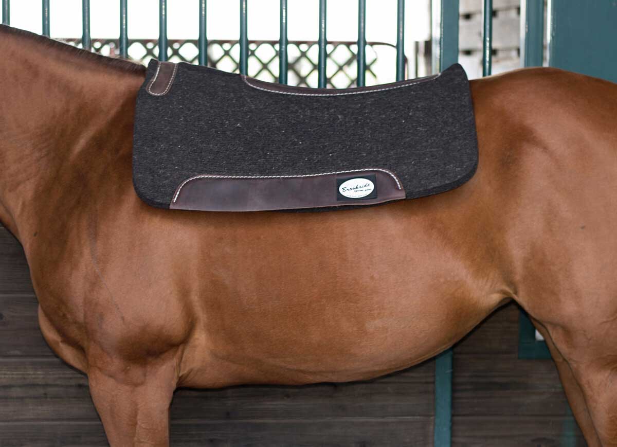 horse saddle blanket