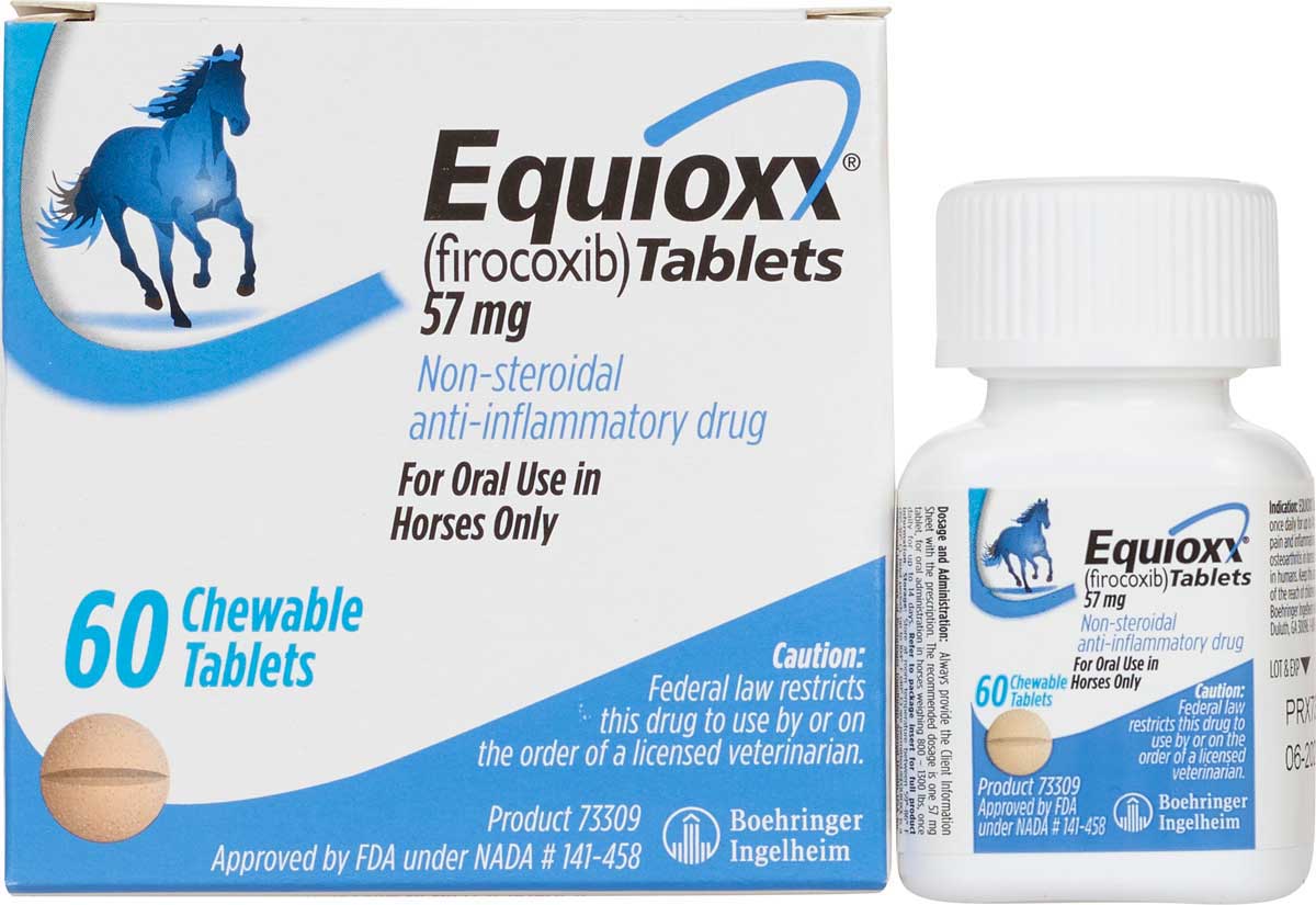 what is the dosage of previcox for horses

