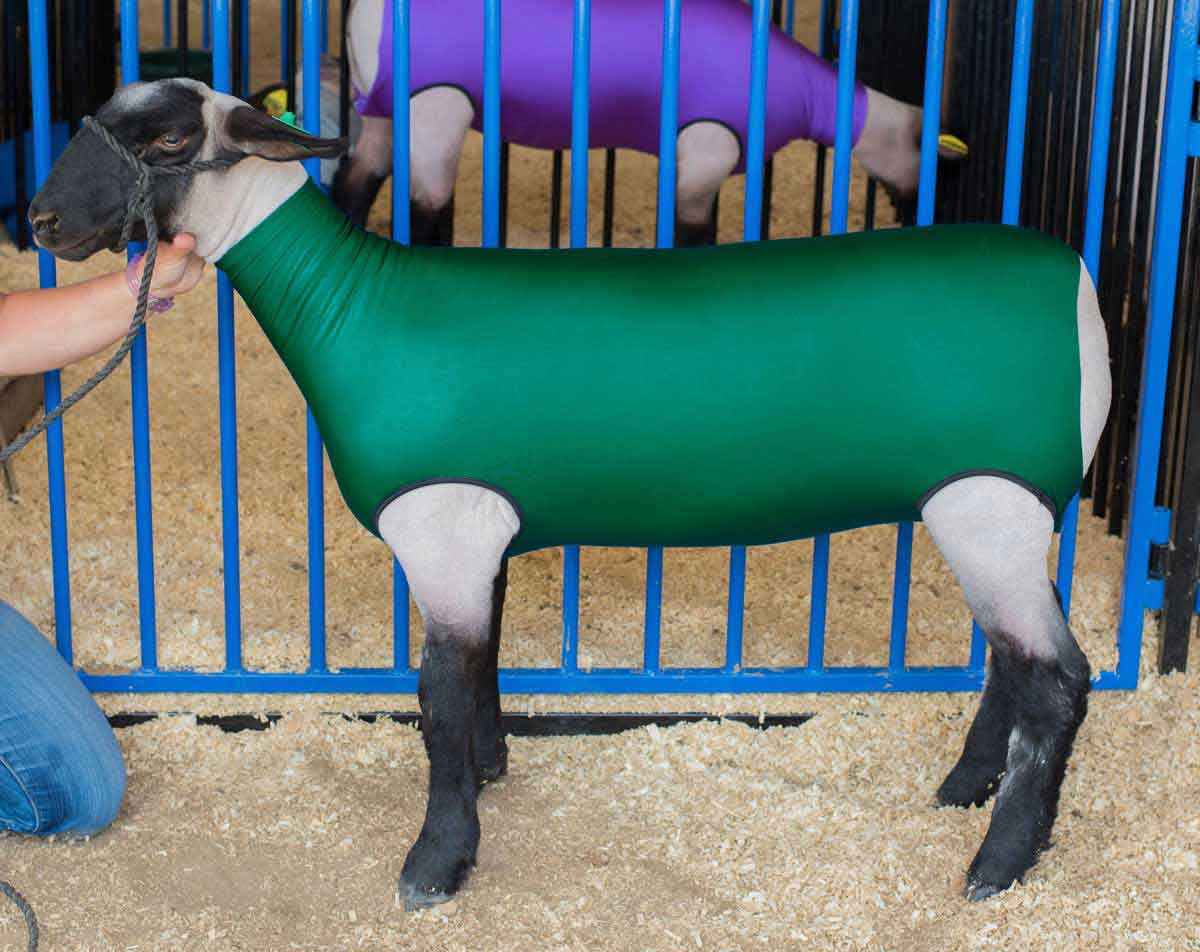 Spandex Lamb Tube Sullivan Supply Blankets Tubes Show Sheep