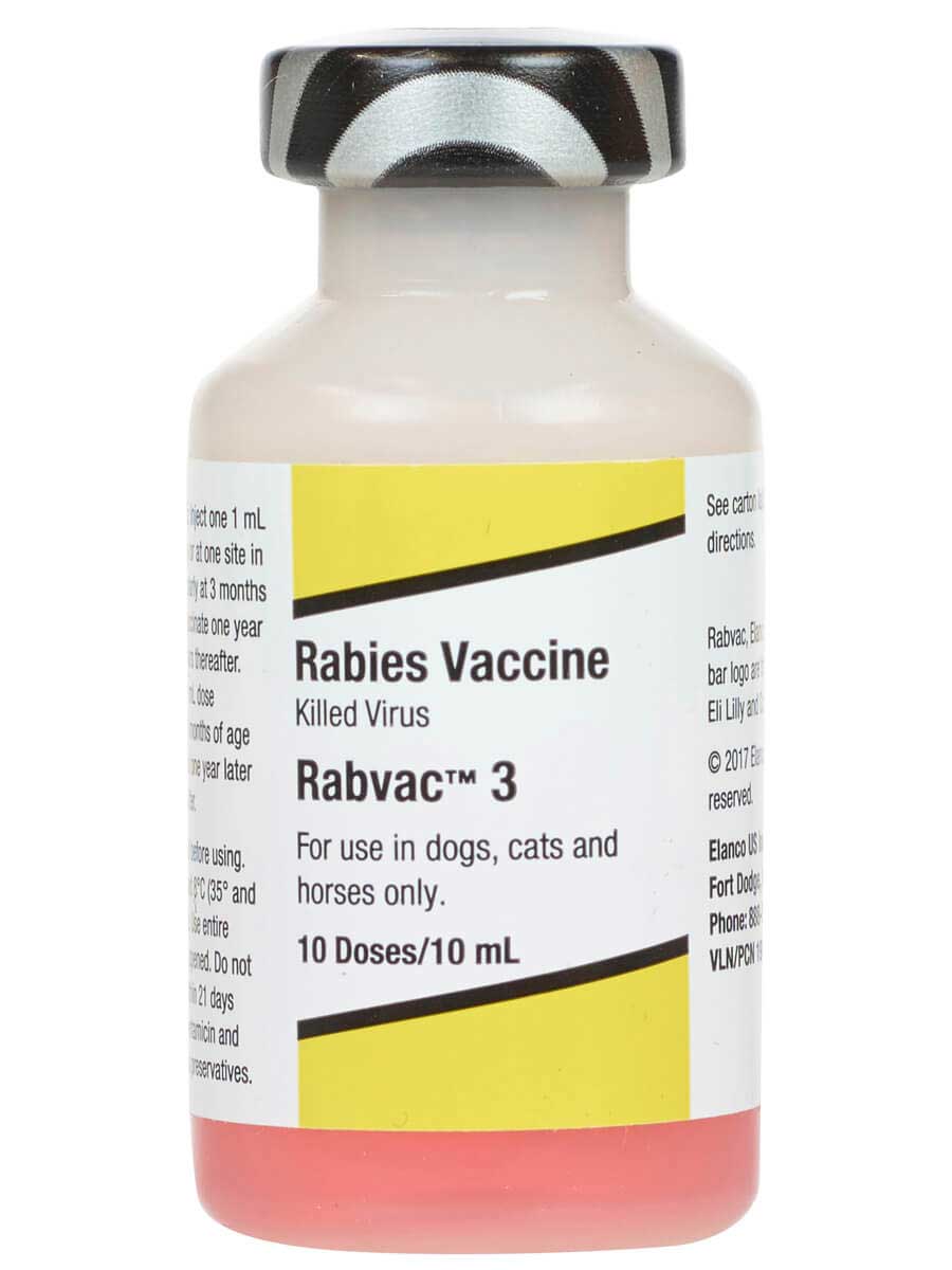 rabies vaccination for pet travel