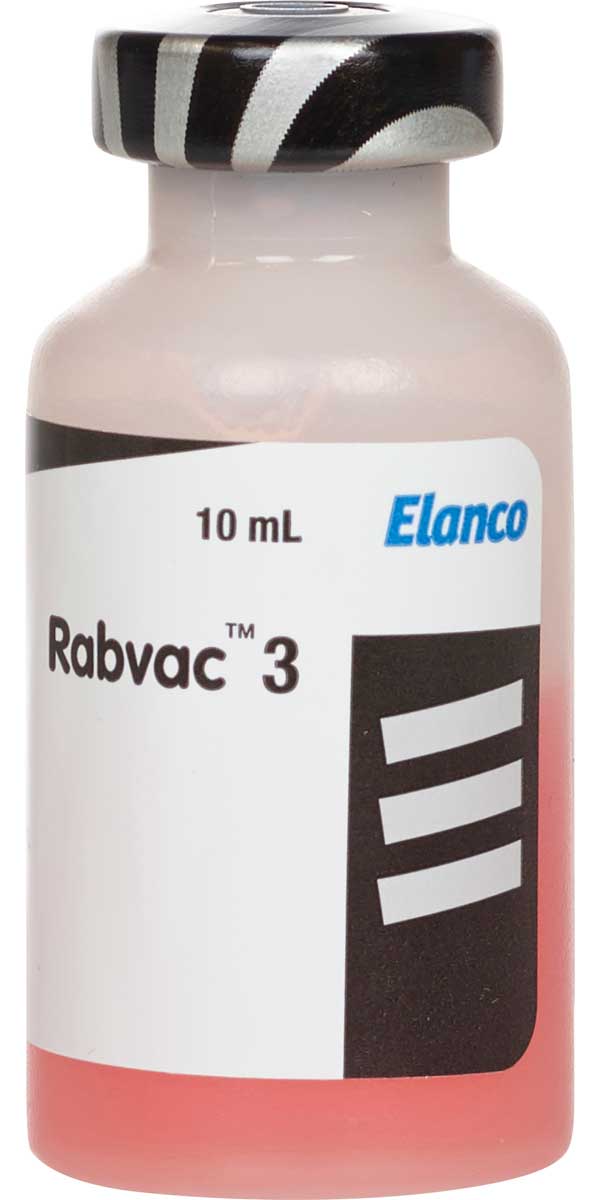 Rabvac 3 Rabies Vaccine For Dogs Cats And Horses Elanco Animal Health 