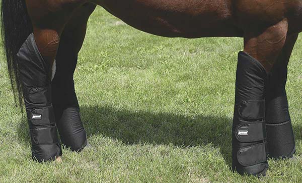 Deluxe Horse Shipping Boots Roma - Shipping Boots | Sports Medicine ...