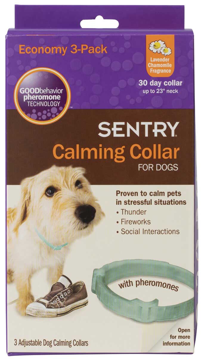 calming puppy collar