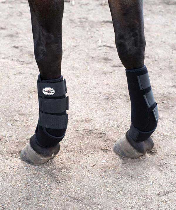 Destiny Support Horse Boots Brookside 
