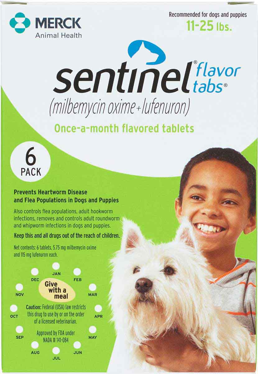 10 Best Sentinel Dog Heartworm Preventatives for a Healthy Pup! Furry