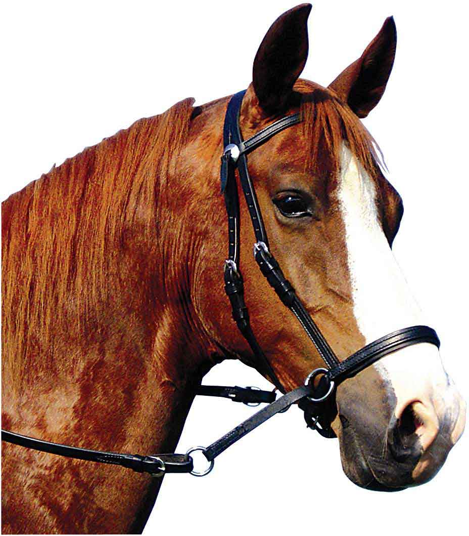 horse bridles without bitstamp