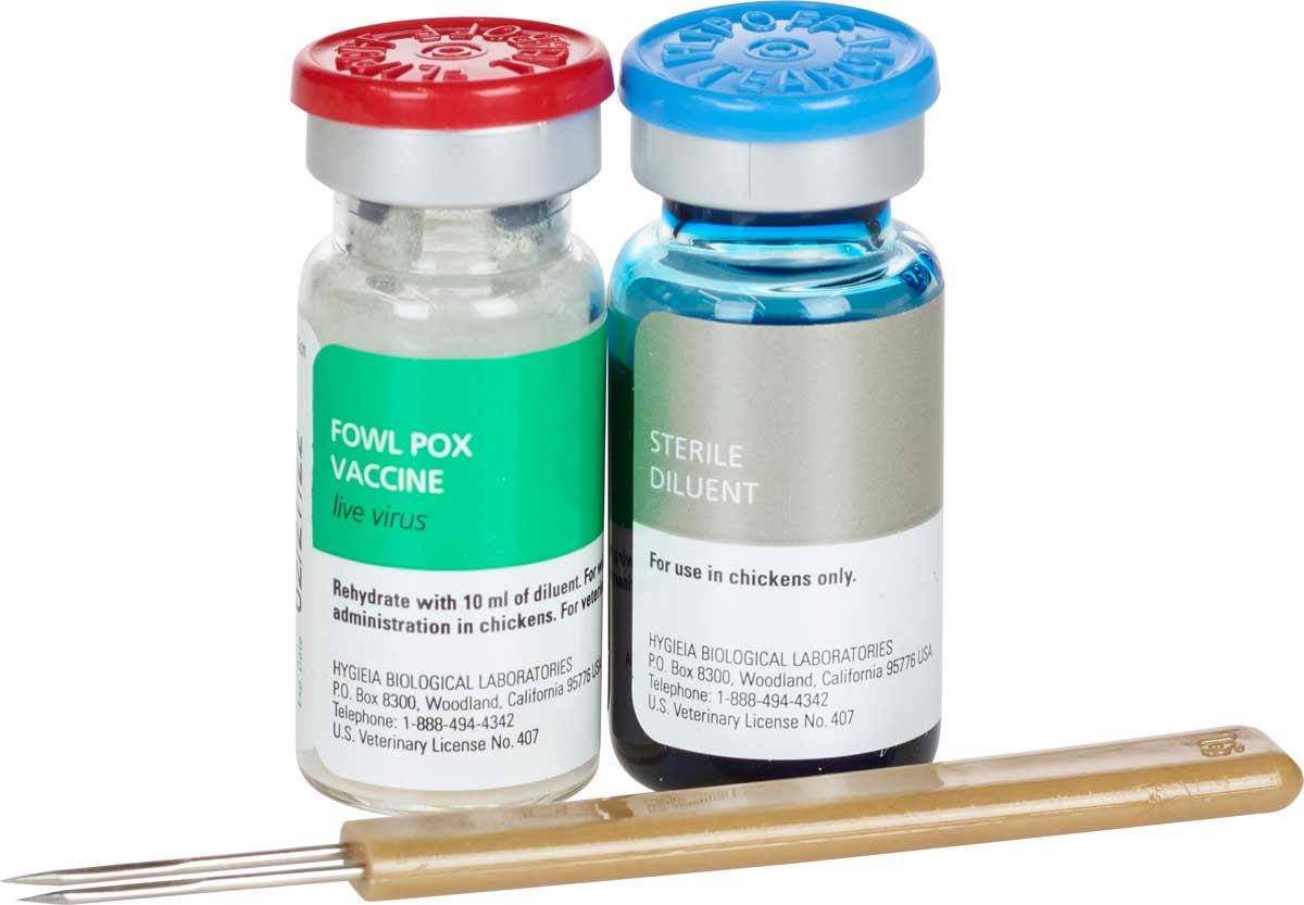 Fowl Pox Vaccine For Chickens Hygeia Poultry Vaccines Poultry 