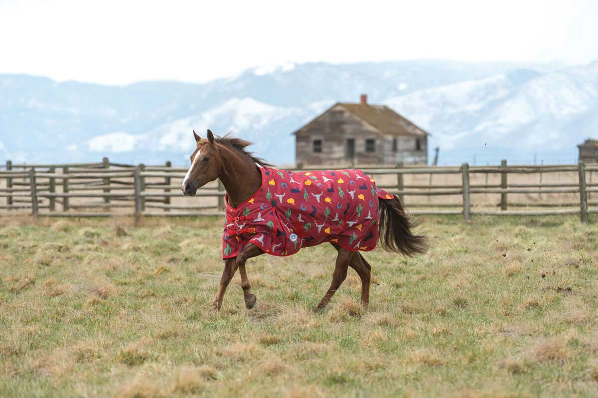 comfitec-essential-western-print-standard-neck-horse-blanket-weatherbeeta-turnout-blankets-sheet