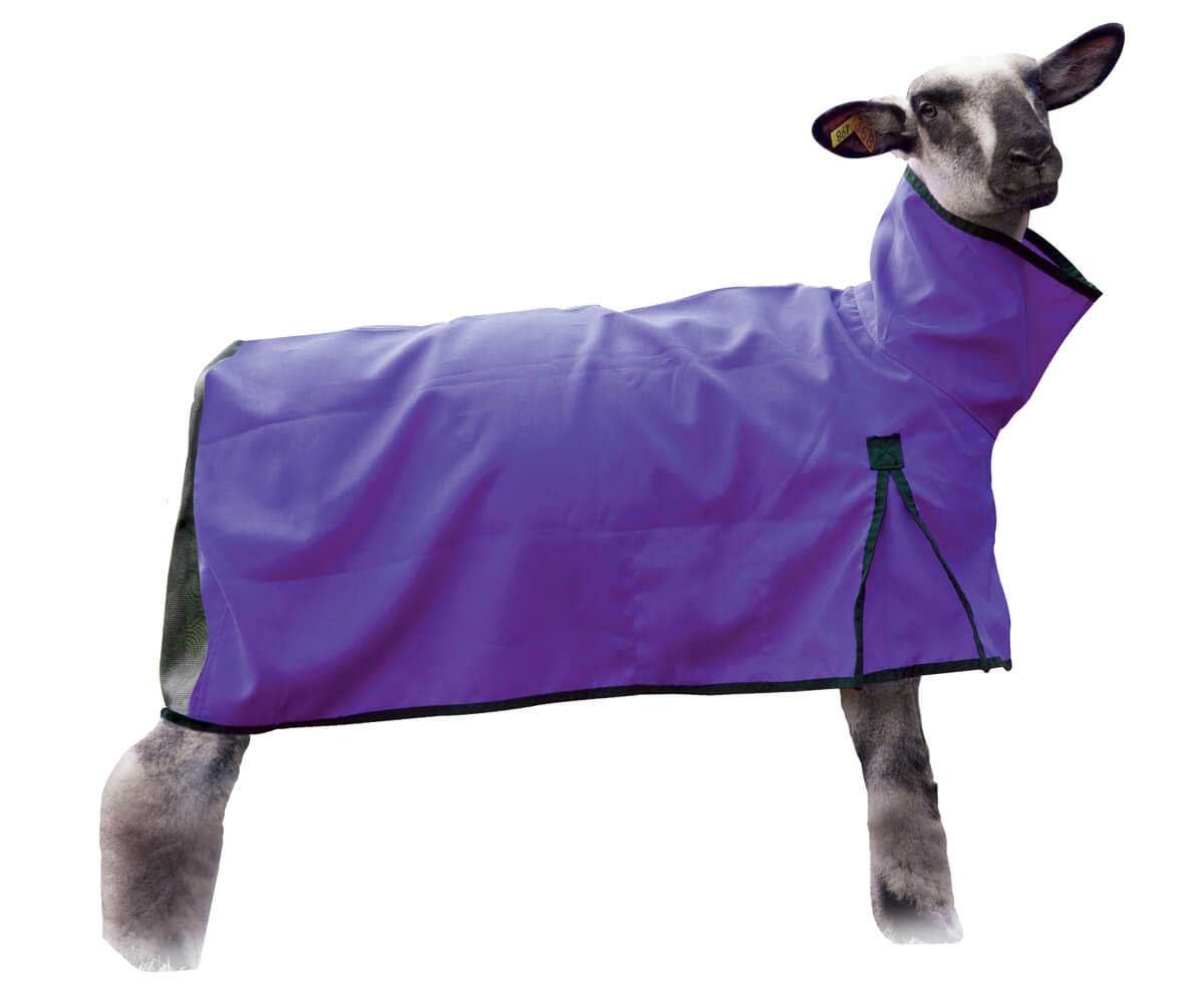  Sweetude 3 Pcs Sheep Blanket with Mesh Butt and Adjustable  Belly Strap Lightweight Breathable Sheep Goat Care Blankets for Show Lambs  Medium Sheep Cover for Show 110-140 Lbs Lambs, 3