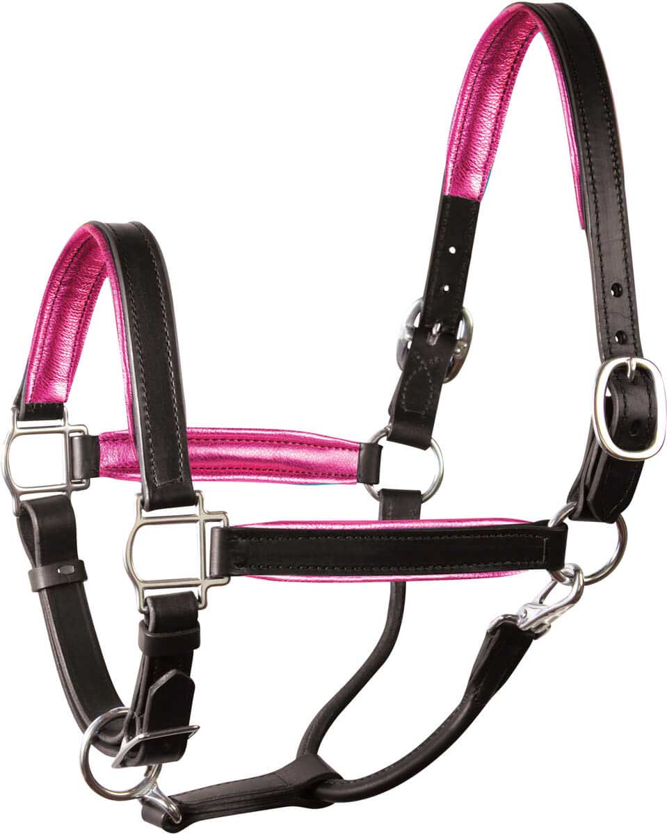 Leather Halter with Metallic Color Padding Perri's Leather - Halters ...