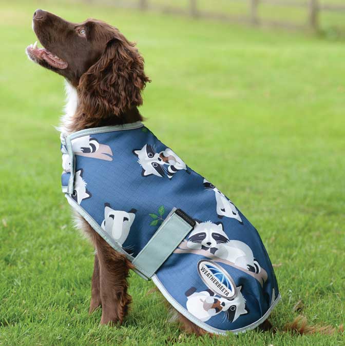 drizabone dog jacket