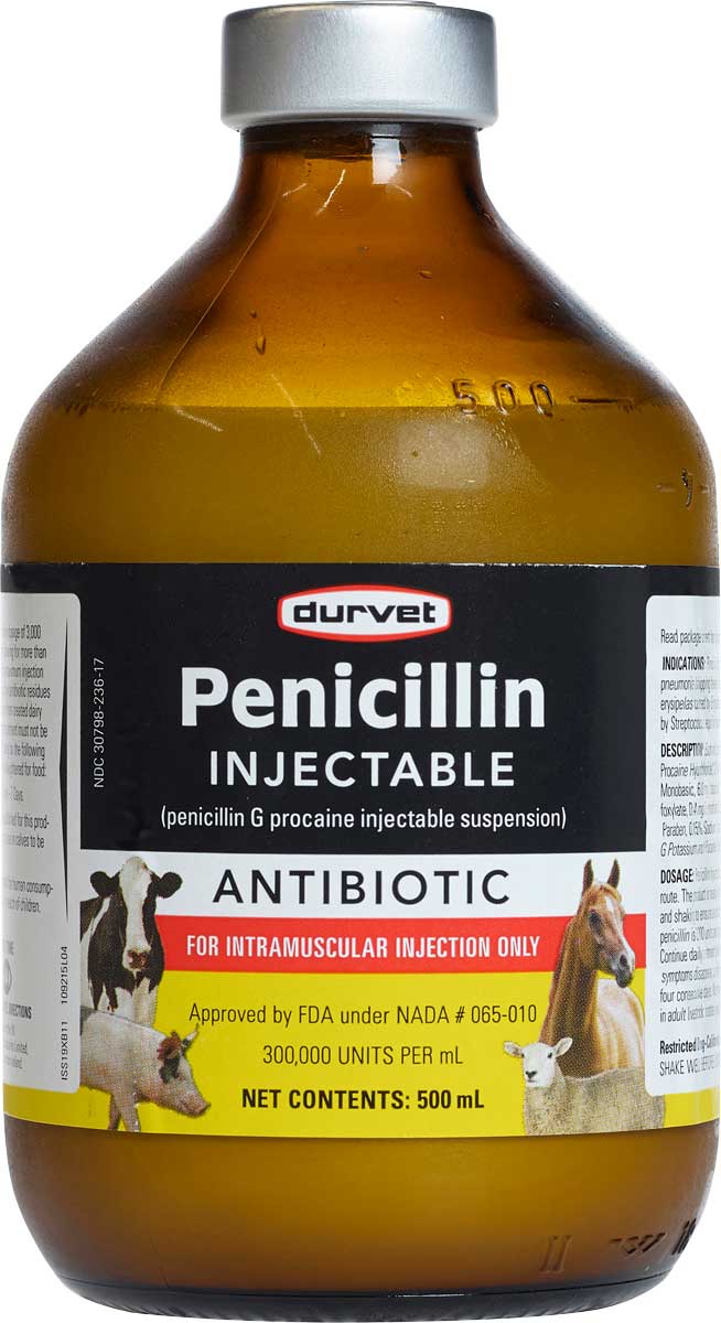 Penicillin Injectable for Livestock Durvet - Antibiotics | Cattle ...