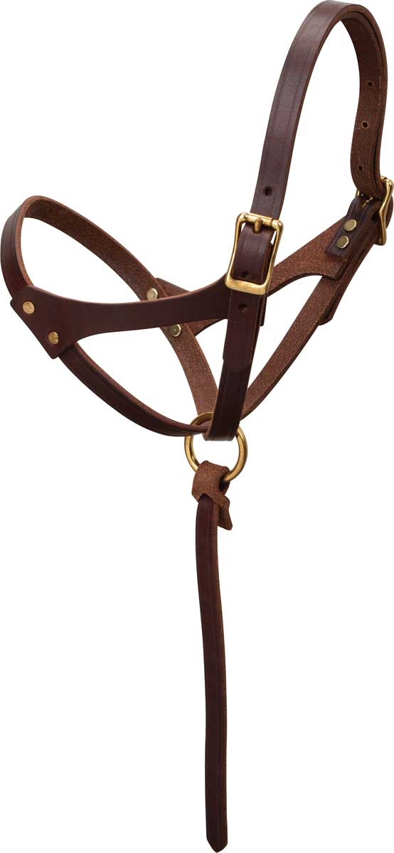 Weaver Leather Becomes An Official Tack and Equipment Supplier of