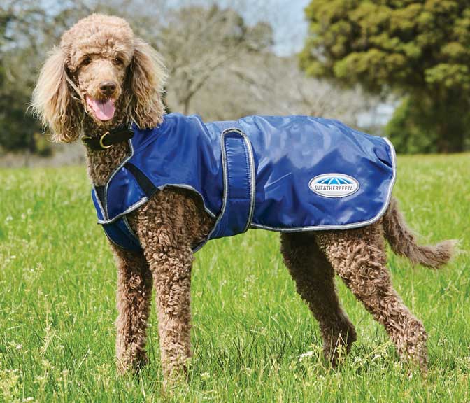 Weatherbeeta windbreaker 420d clearance deluxe dog coat