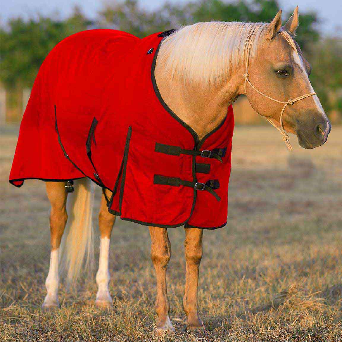 Standard Neck Turnout Horse Blanket Mustang Manufacturing Turnout