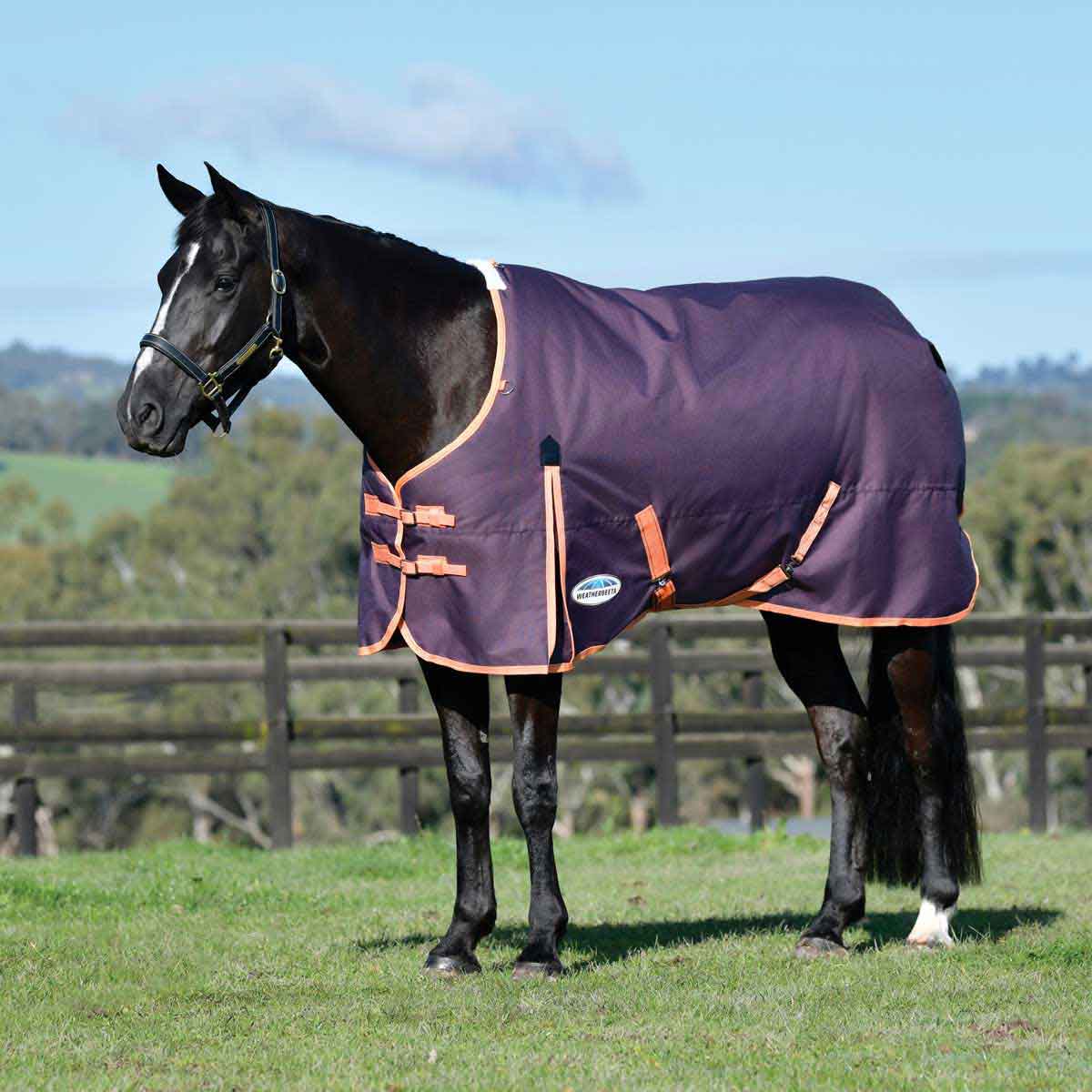 Comfitec Essential Standard Neck Medium Turnout Horse Blanket ...