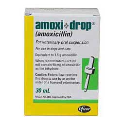 Amoxi Drop for Dogs and Cats Zoetis Animal Health ( - Pet Pharmacy (Rx ...